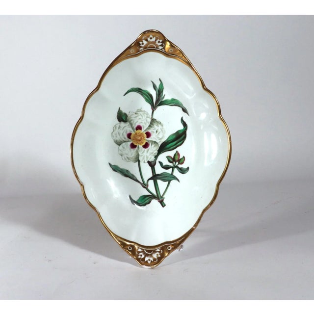 White Spode Porcelain Botanical Specimen Dishes- a Pair. After William Curtis For Sale - Image 8 of 12