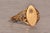 Metal The 19th Avenue: Navette Shaped Signet Ring with Natural Diamond For Sale - Image 7 of 10