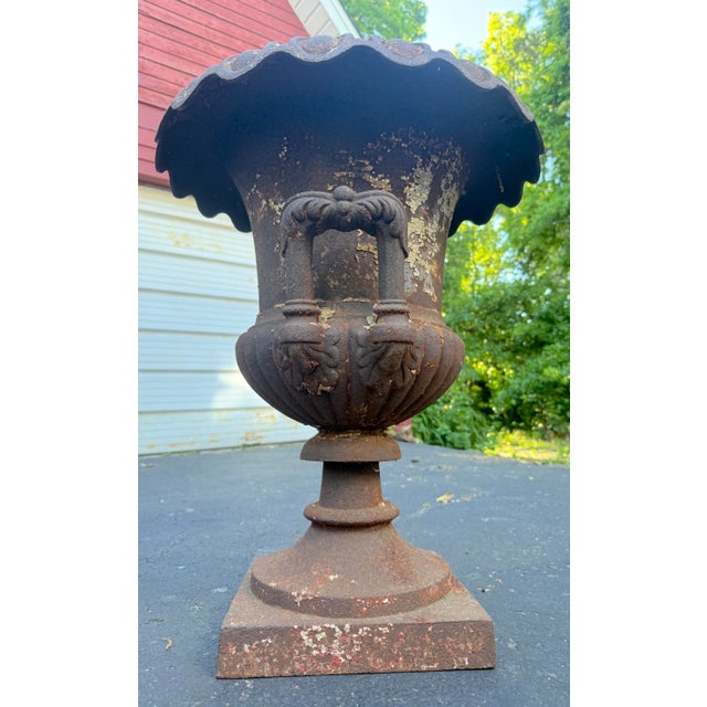 Huge Antique Late Victorian French Heavy Cast Iron Outdoor Planter Urn W/ Handle For Sale - Image 11 of 17