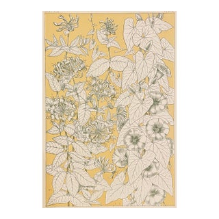Leaves From Nature Owen Jones Grammar of Ornament For Sale
