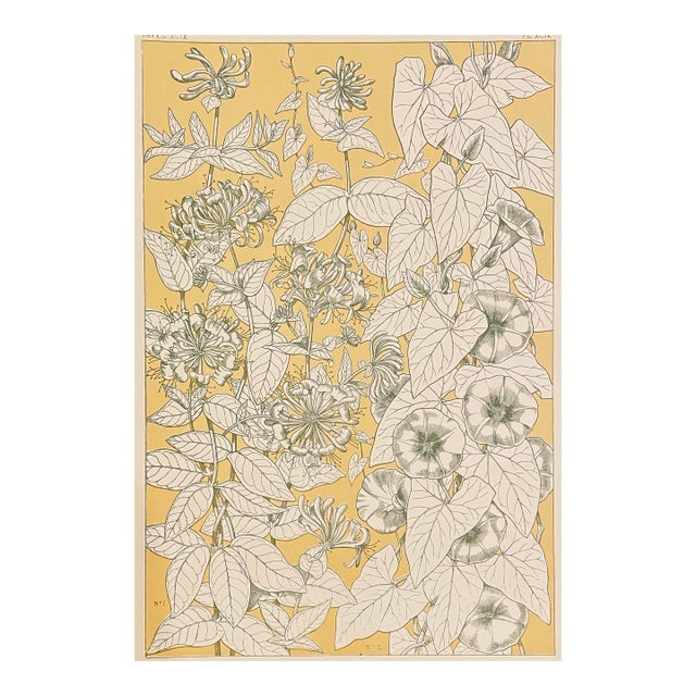 Leaves From Nature Owen Jones Grammar of Ornament For Sale