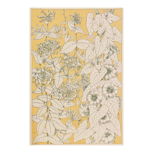 Leaves From Nature Owen Jones Grammar of Ornament