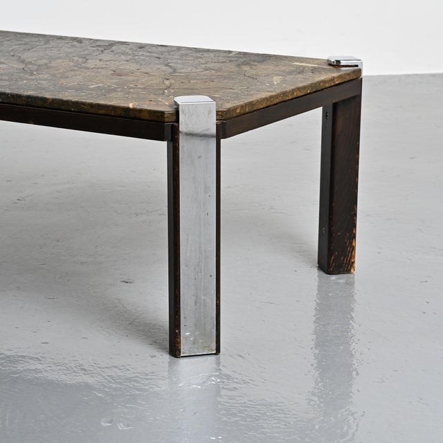 Brutalist Fossil Stone Coffee Table from Collection Fossile, Switzerland, 1980s For Sale - Image 3 of 9