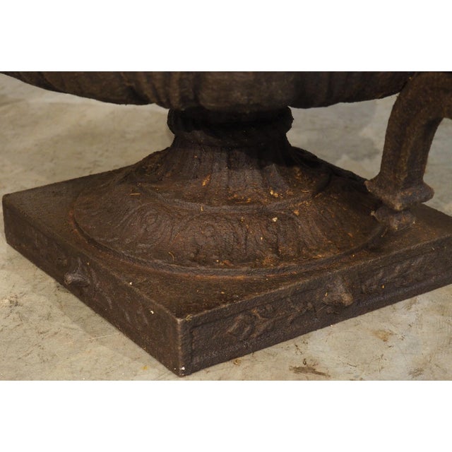A Large 19th Century French Cast Iron Vase With Double Scrolled Handles For Sale - Image 16 of 18