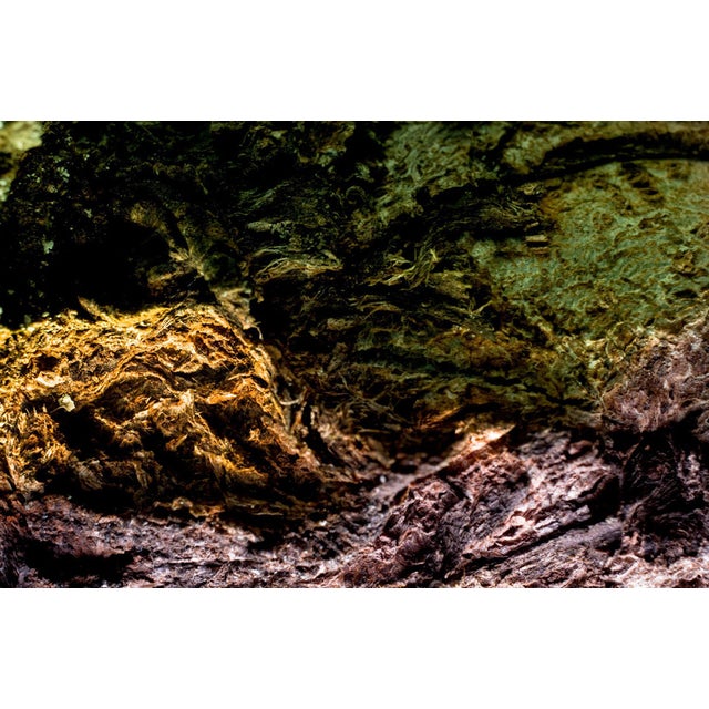 Marko Milić, Mythical Beast, Abstract Photography For Sale