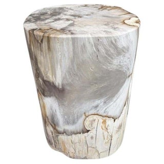 Andrianna Shamaris Ancient Petrified Wood Side Table For Sale