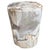 Andrianna Shamaris Ancient Petrified Wood Side Table For Sale