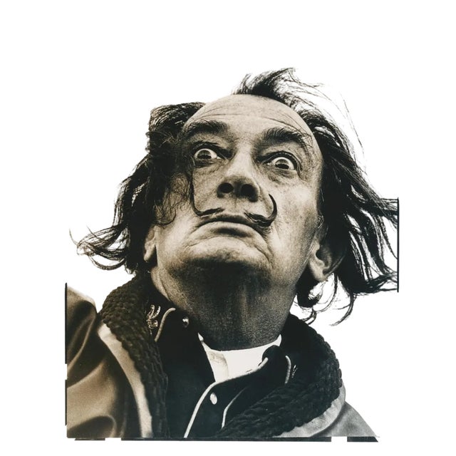 Philippe Halsman, Dali in Port Ligat, 1964, Photograph For Sale