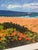 Contemporary Late 20th Century Poppies + the Pier — Limited Edition Coastal Print Numbered and Signed by Artist Ken For Sale - Image 3 of 10