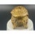 Antique cast brass jewelry casket featuring a high-relief reclining cherub (putto) surrounded by flowing Art Nouveau...