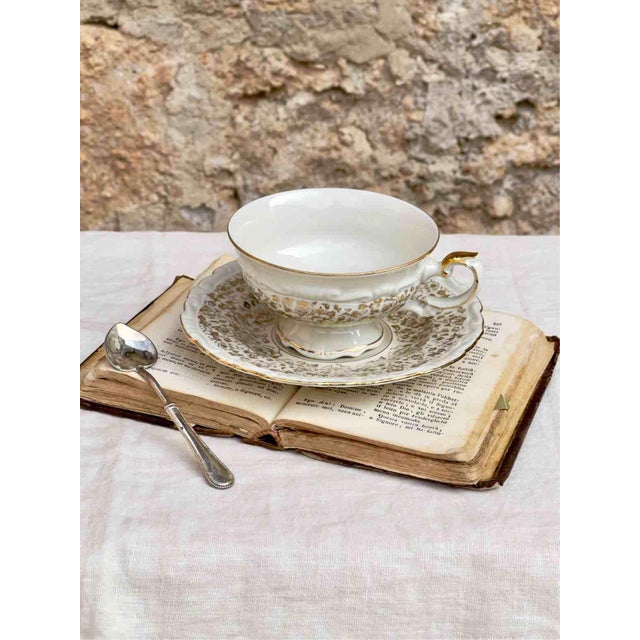 1950s Mid-Century Porcelain Tea Service by Johann Seltmann Vohenstrauß, Germany, 1950s, Set of 12 For Sale - Image 5 of 13
