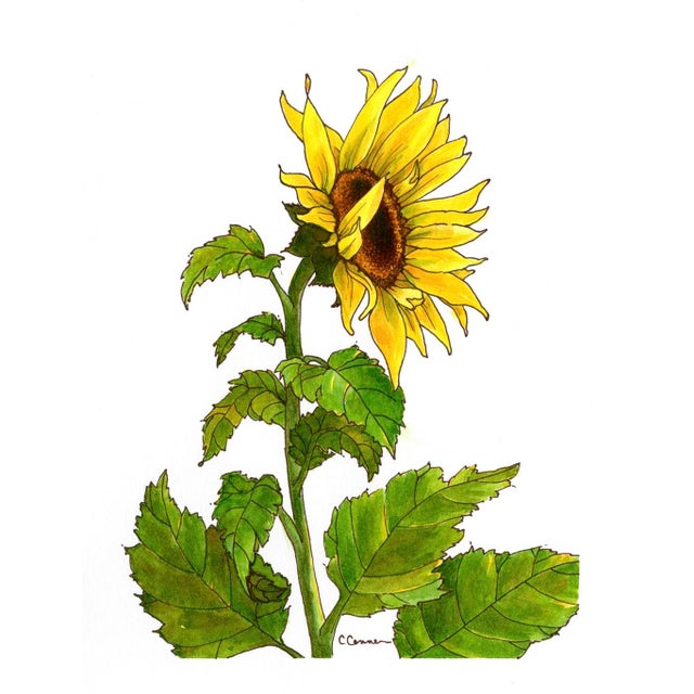Giclee Print of This Watercolor Painting ‘Sunflower’ For Sale