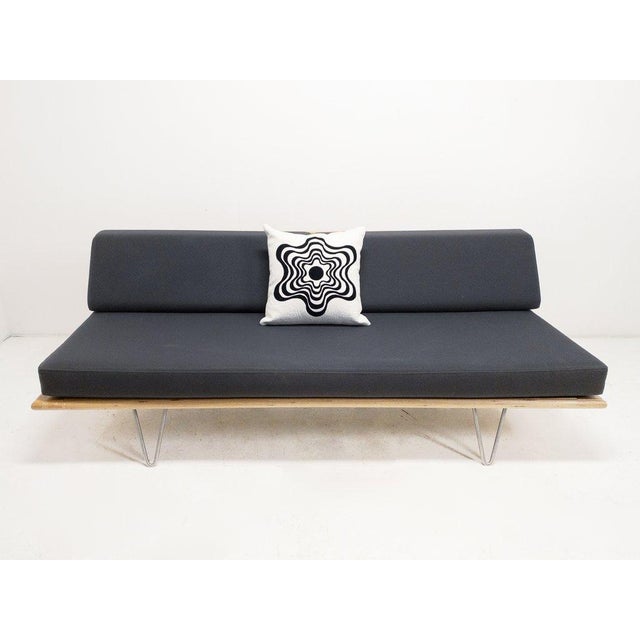 Modernica Gray Daybed Sofa Chairish