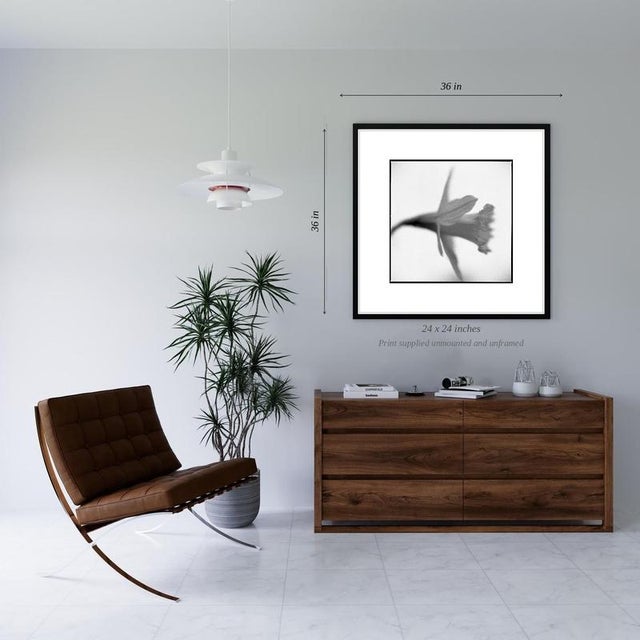 Fine art Giclee prints on Hahnemuhle Photo Rag 308gsm - a 100% cotton, acid-free, mould-made paper. Printed to Fine Art...