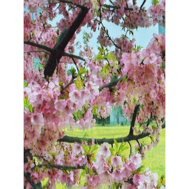 Created by British artist in Japan