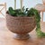 Transitional Burma Rattan Footed Cachepot For Sale - Image 3 of 4