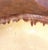 French 19th Century French Provençal Glazed Terracotta Serving Bowl For Sale - Image 3 of 8