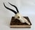 This taxidermy Blesbok antelope skull with polished horns is suitable for hanging on the wall or display on a shelf....
