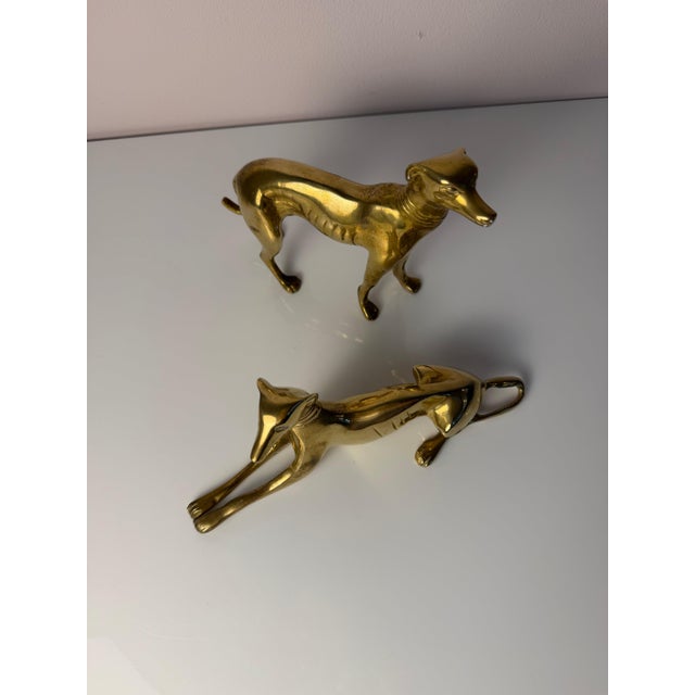 Brass Greyhound, Denmark, Set of 2 For Sale - Image 4 of 11