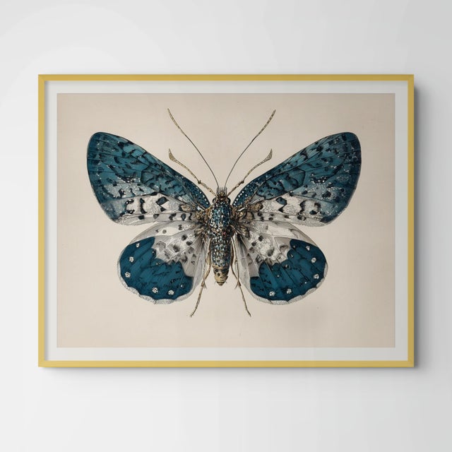 Six-Spot Burnet - Butterfly Botanical Study | Natural History | Fine Art Print For Sale - Image 4 of 5