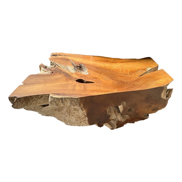 Andrianna Shamaris Impressive Single Teak Root Coffee Table For Sale