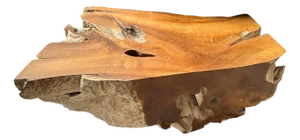 Andrianna Shamaris Impressive Single Teak Root Coffee Table
