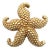 18k Yellow Gold Starfish Pin For Sale