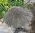 Italian 19th Century Venetian Gilded, Carved Wood Grotto Style Table For Sale - Image 3 of 12