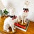 White Mid-Century European Pottery Whippet Figurines - A Pair For Sale - Image 8 of 12