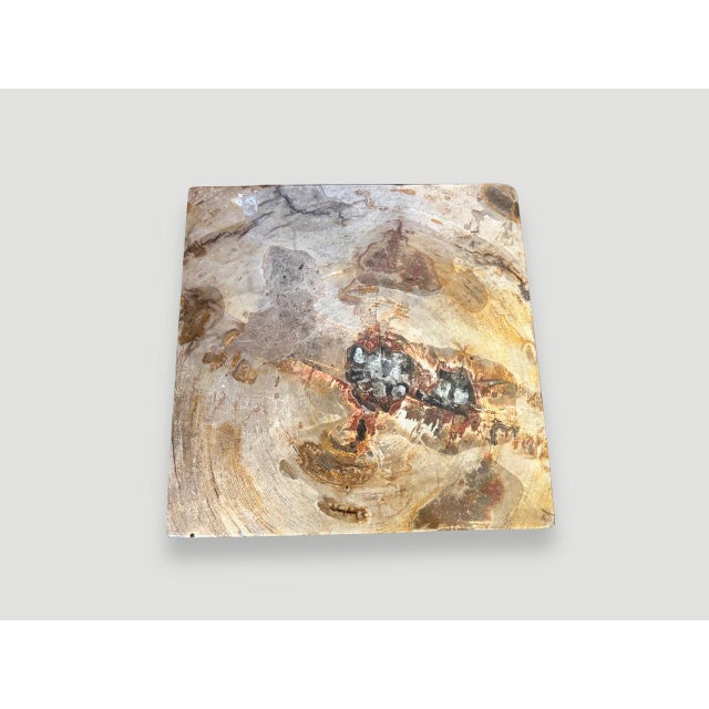 Andrianna Shamaris Petrified Wood Side Table with Cracked Resin For Sale In New York - Image 6 of 18