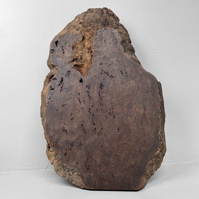 Meji Wabi-Sabi Low Tree Table, Japan, 1890s For Sale - Image 6 of 18