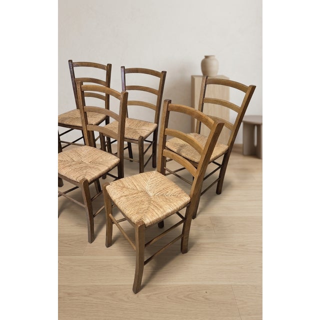 20th Century Scandinavian Dining Chairs with Wooden Frame & Woven Rattan Seats from Gemla Fabrikers AB, 1960s, Set of 8 For Sale - Image 4 of 8