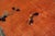 Orange 1920s Orange Floral Modern Antique Chinese Art Deco Rug 7' 10"x11' 6" Hand Knotted Carpet For Sale - Image 8 of 13