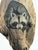 Vintage Lithograph print of a folk art portrait of a raccoon in a tree by a Franciscan monk from Missouri, the late...