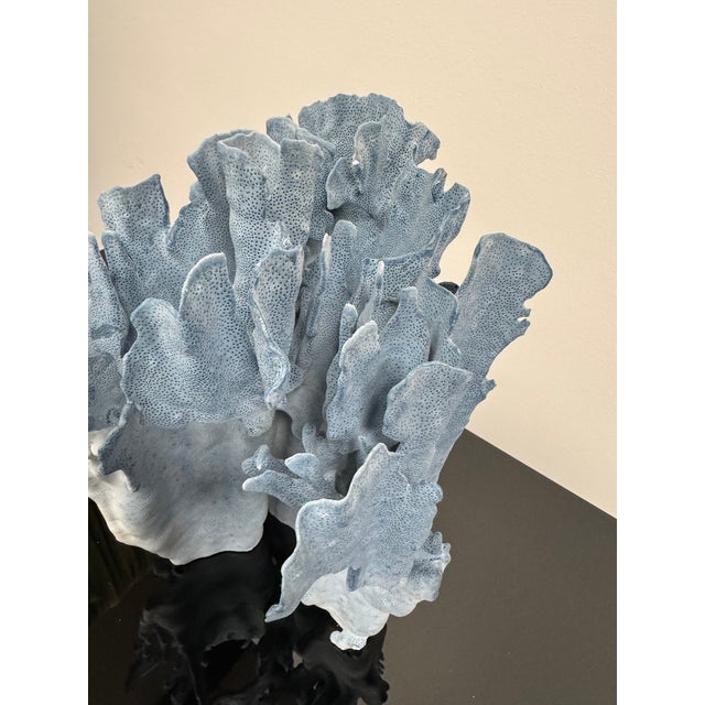 Very nice specimen of blue coral, flat on the bottom for display purposes