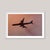 American airlines - look up when you’re beneath a flight path and you’ll often see aircraft close enough to read the...