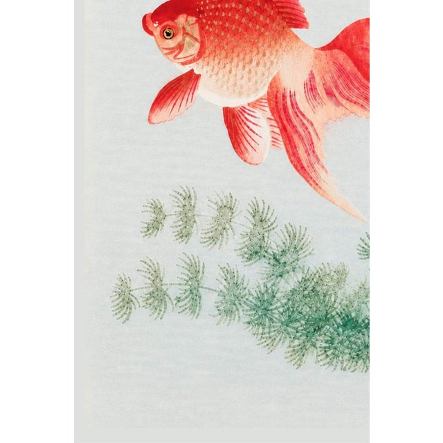 Two Veil Goldfish by Ohara Koson, Vintage Japanese Art Print Reproduction, 16" X 24" For Sale - Image 4 of 9