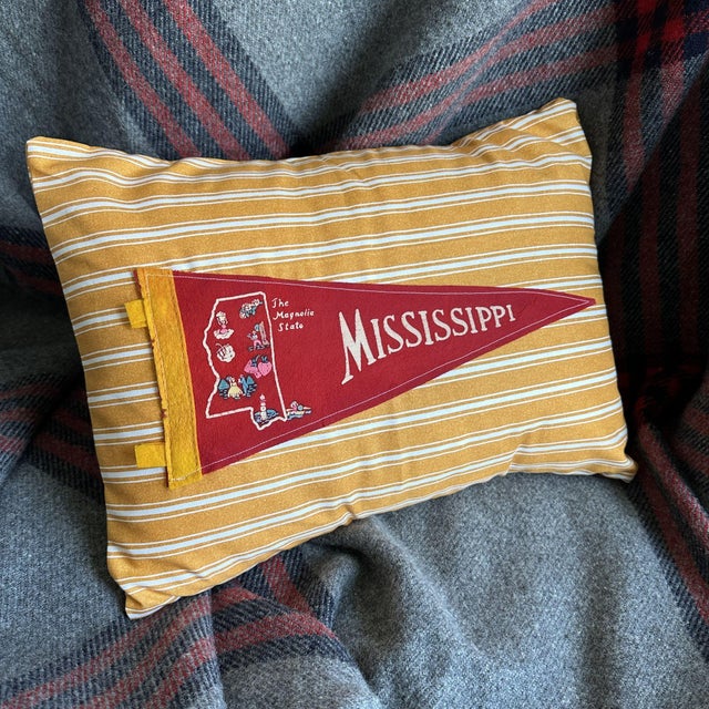 American Mississippi Vintage Red Pennant on New Yellow Striped Throw Pillow For Sale - Image 3 of 4
