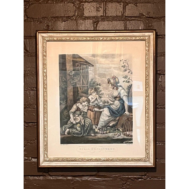 1920s The Birds Nest R. Westall A. Zaffonato Hand-Colored Engraving Regency - Set of 2 For Sale - Image 12 of 17