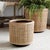 Transitional Lyla Dry Basket Planters, Set Of 2 For Sale - Image 3 of 8