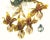Limited edition reproduction print of one of the most famous botanical works ever produced, "The Orchidaceae of Mexico and...