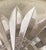 Transparent 1990s Waterford, Crystal of Ireland, Makers of Luxury Premium Crystal-Lismore Champagne Coupes - Set of Six For Sale - Image 8 of 8