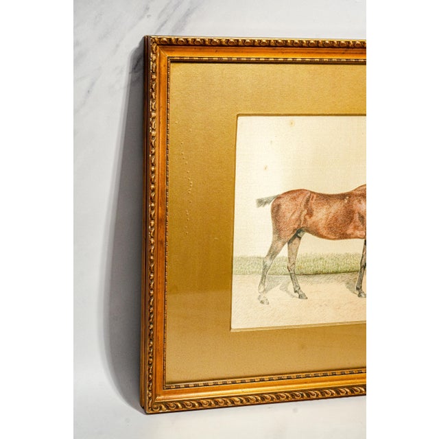 Rare Pair Antique English Horse Portraits on Silk Hand Painted Equestrian Sporting Art Home Decor For Sale - Image 13 of 17