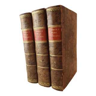 Early 19th Century Antique Italian Decorative Volume Set, Morrona's Pisa Illustrata - 3 Books For Sale