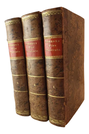 Early 19th Century Antique Italian Decorative Volume Set, Morrona's Pisa Illustrata - 3 Books