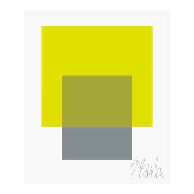 The Interaction of Lime Green and Gray Fine Art Print 25" X 30" by Liz Roache For Sale