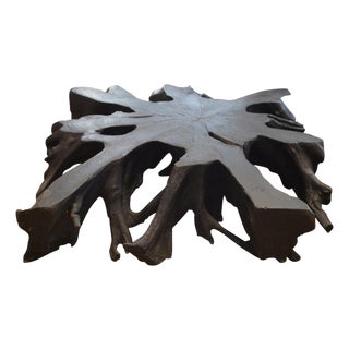 Andrianna Shamaris Teak Wood Root Wall Hanging or Coffee Table For Sale