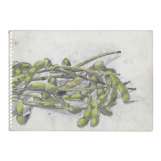 1963 Still Life of Edamame by Japanese Artist For Sale