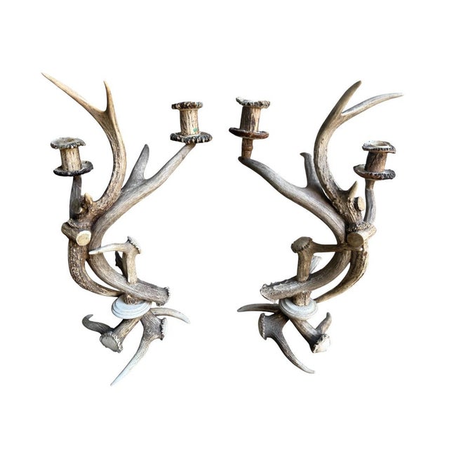 Bone Antler Candelabra Black Forest Decor For Sale - Image 7 of 7