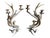 Bone Antler Candelabra Black Forest Decor For Sale - Image 7 of 7